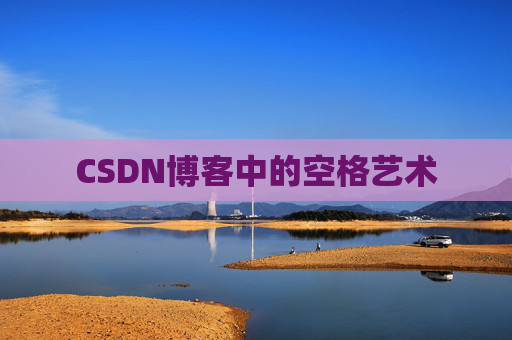CSDN博客中的空格艺术